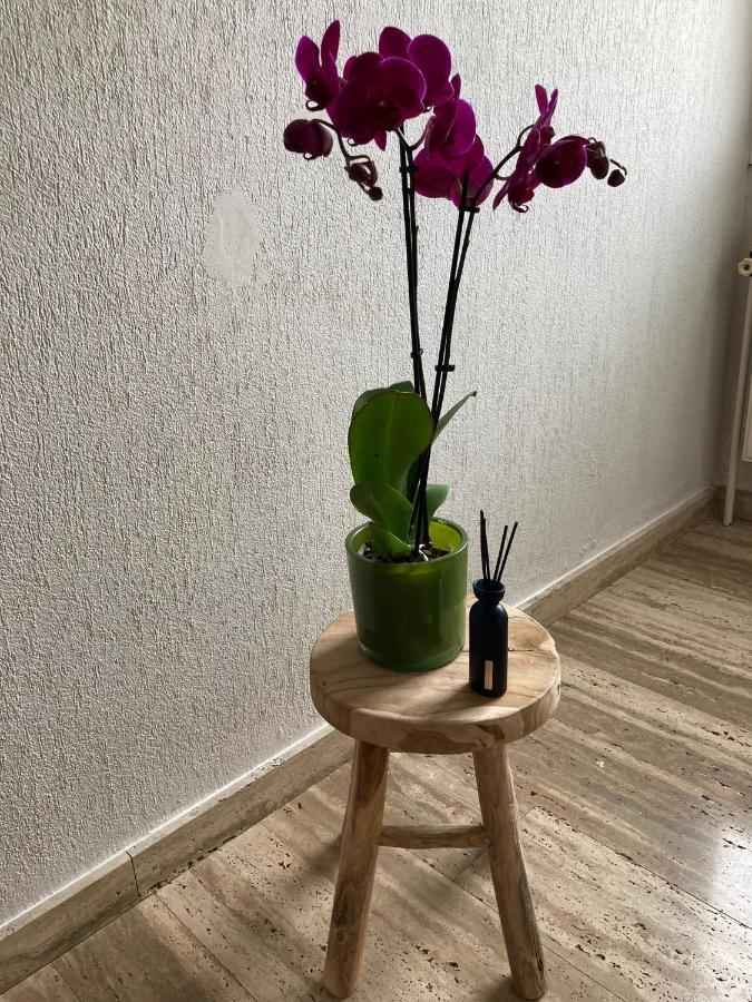 Appartamento Rustig In Het Met Terras *